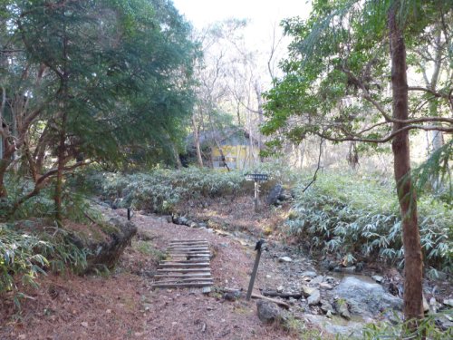 画像39